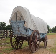 Wagon