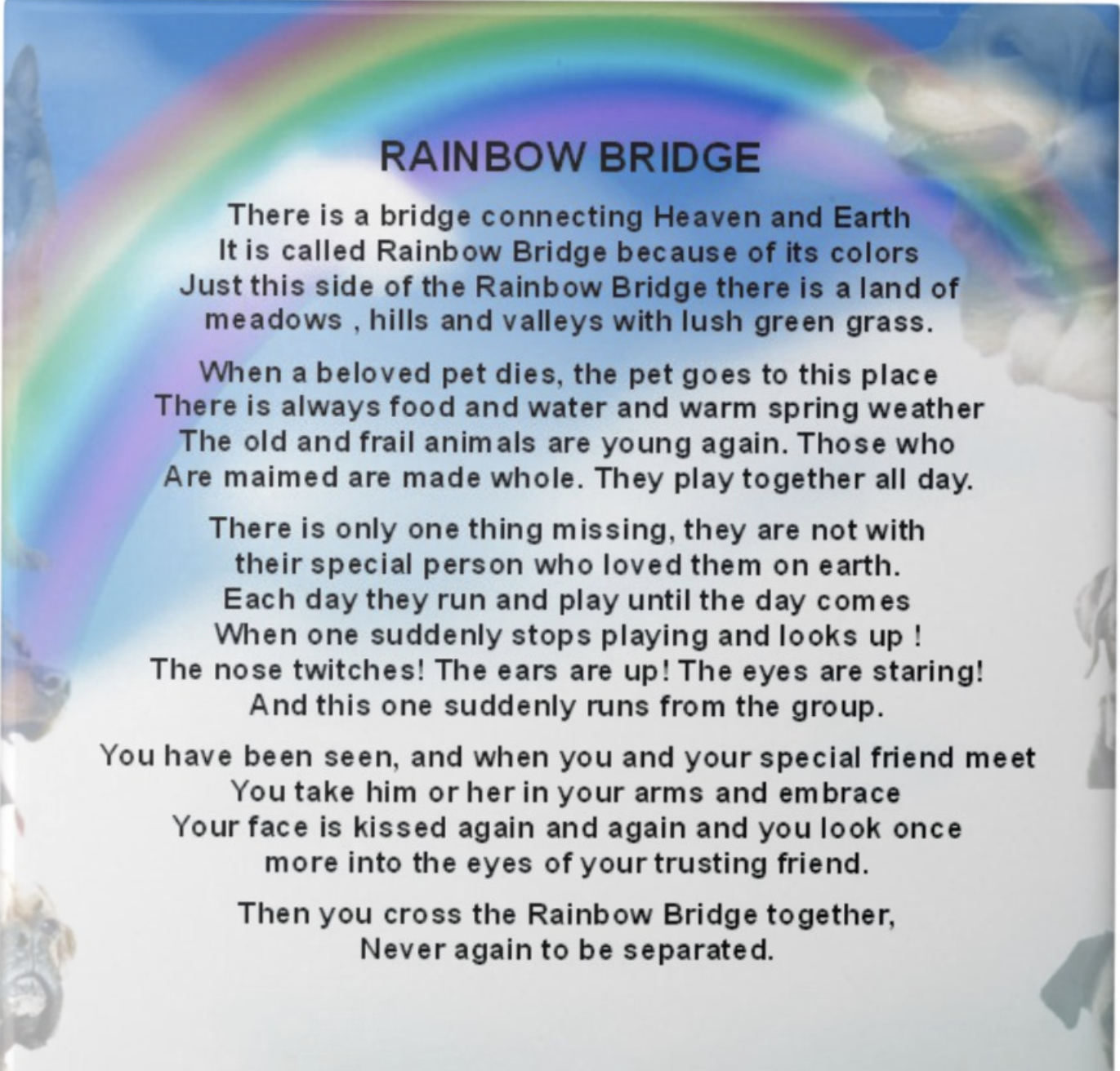 Screen Shot 2025-08-19 at 3.22.01 PM